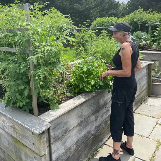 Vegetable and Perennial Beds